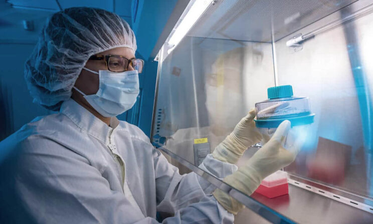 «Это была последняя надежда». Дети с онкологией не смогут получать клеточную терапию