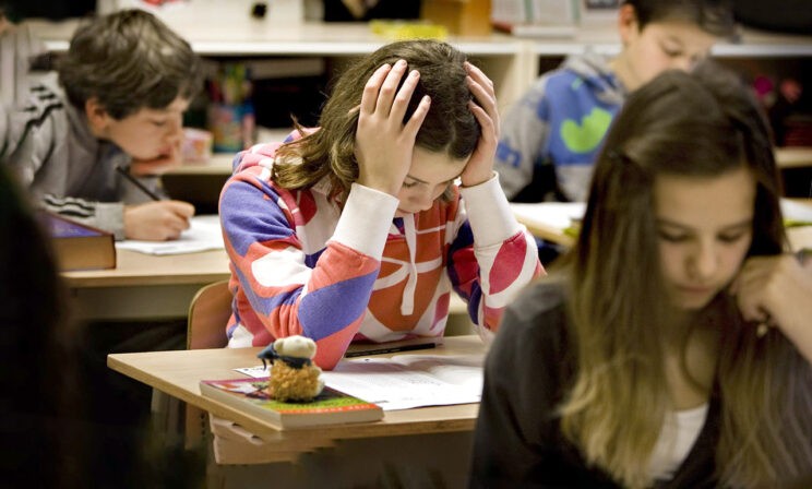 Учителя — о ЕГЭ. Что надо знать о разных предметах