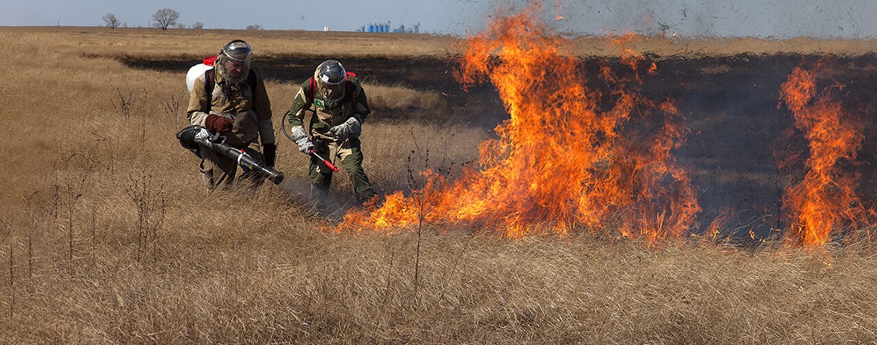 2 000 человек в России остались без жилья из-за лесных пожаров. Главное