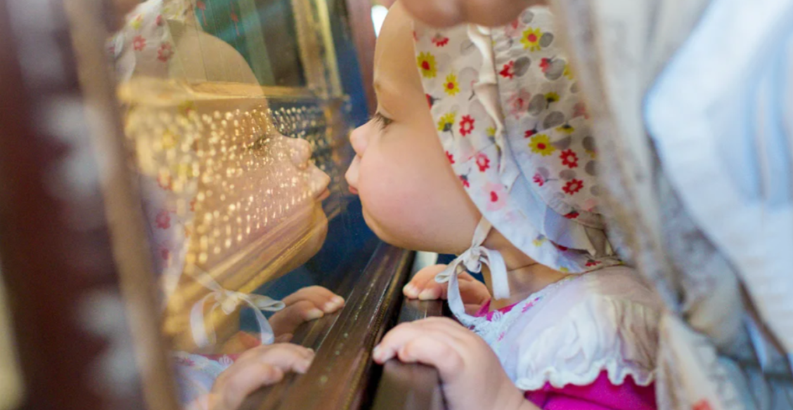 «Не целуй мощи — дауном станешь!» Дед оттащил внука от святыни