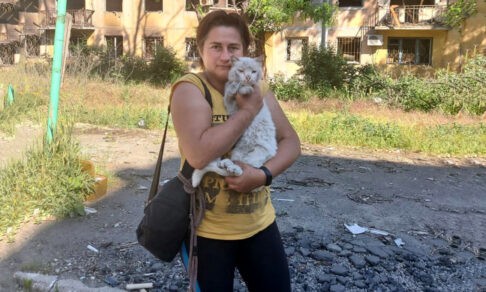 «Я вывезла 600 кошек из подвалов Мариуполя». Рассказ волонтера