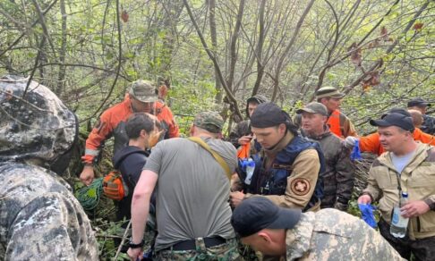 Под Вологдой спустя двое суток нашли пропавшего в лесу трехлетнего мальчика. Главное