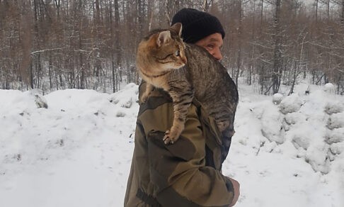 Охотник 30 лет прожил в тайге без семьи. Когда о нем сняли видео, его нашел родной брат