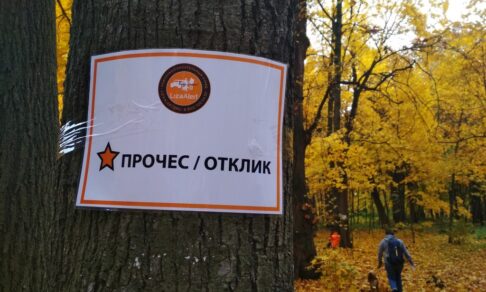 9 дней в чаще. Пропавшую пожилую женщину чудом нашли в лесу