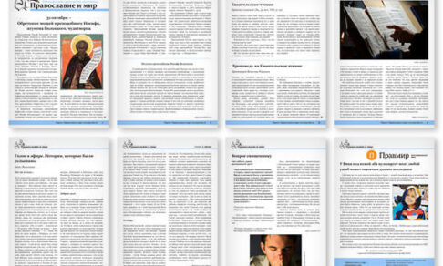 Православная стенгазета № 43 (671)
