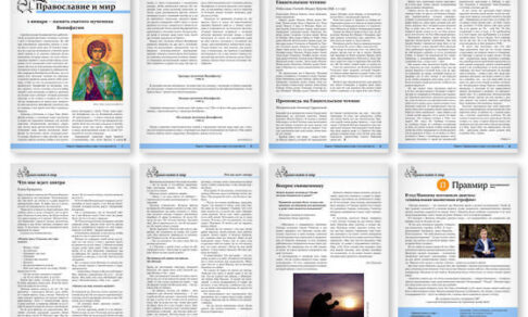Православная стенгазета № 52 (680)
