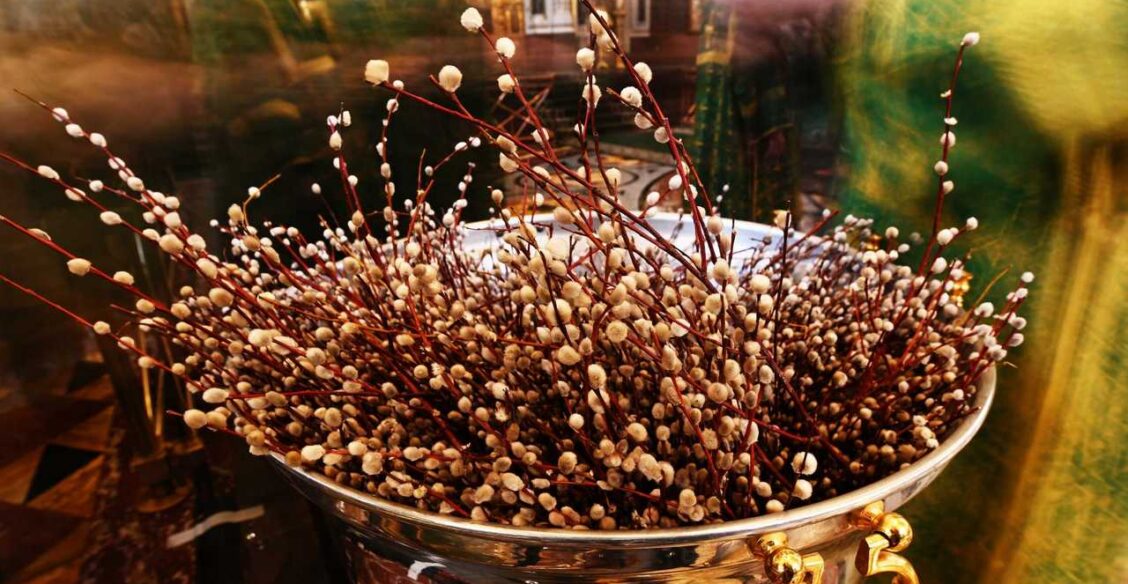 Зачем на Вербное воскресенье освящают вербу? Священник Виктор Гавриш