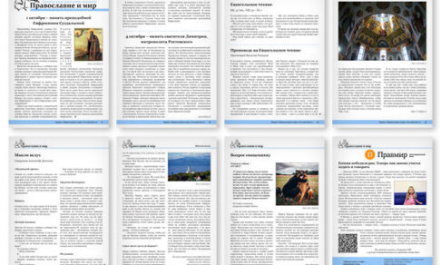 Православная стенгазета № 39 (719)