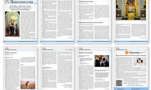 Православная стенгазета № 43 (723)