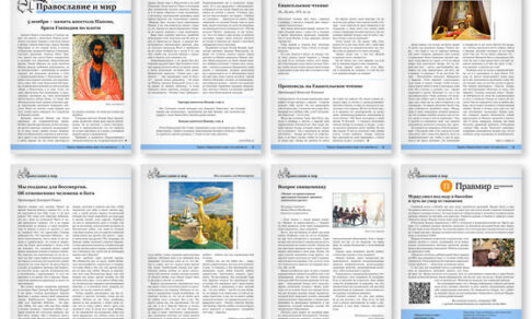 Православная стенгазета № 44 (724)