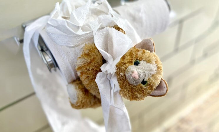 История игрушек: как собака, кот, жираф и мишка нашли своих хозяев