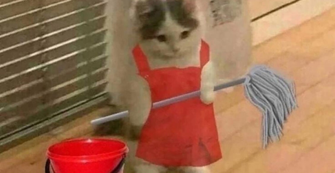 «Мама, а что на родительском собрании сказали?» 10 смешных мемов о школе