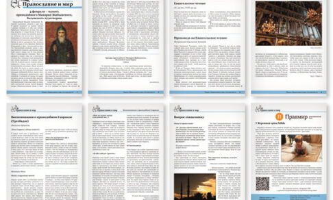 Православная стенгазета № 5 (737)