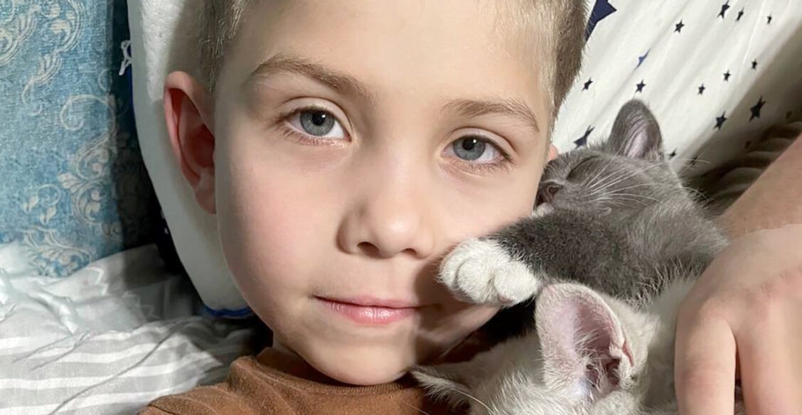 Лошадь ударила Матвея копытом по голове