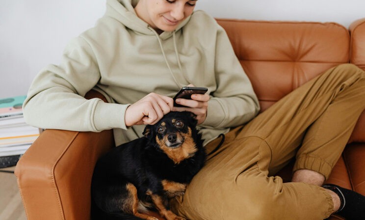 «Не готовится к ЕГЭ, а залипает в смартфон». 8 способов решить эту проблему