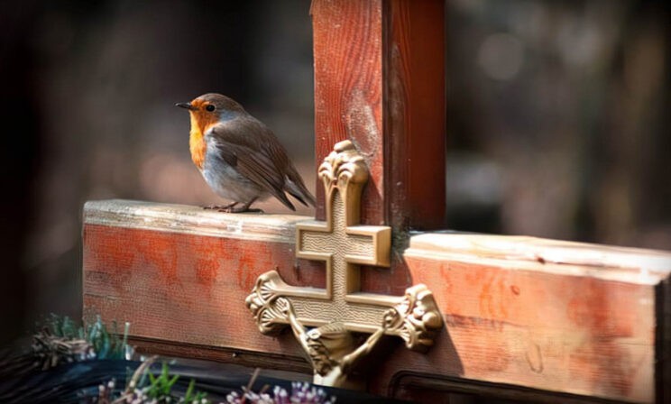 Сказать мертвым: «Христос воскресе!»