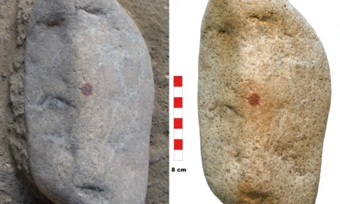 Ученые обнаружили древнейший отпечаток пальца человека, которому больше 40 000 лет