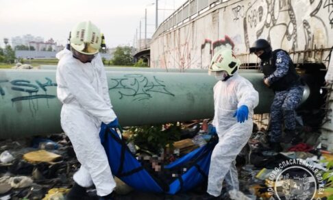 В Томске пес спас своего бездомного хозяина