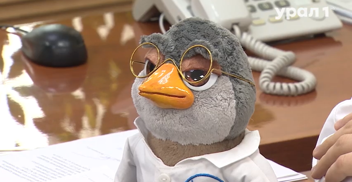 Челябинские психиатры будут использовать в терапии игрушечных кукух