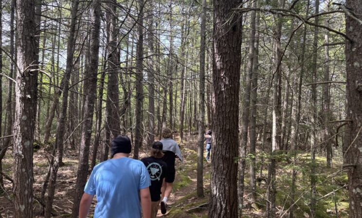 В школе США учитель вместо наказания трудных подростков организовала походы в лес