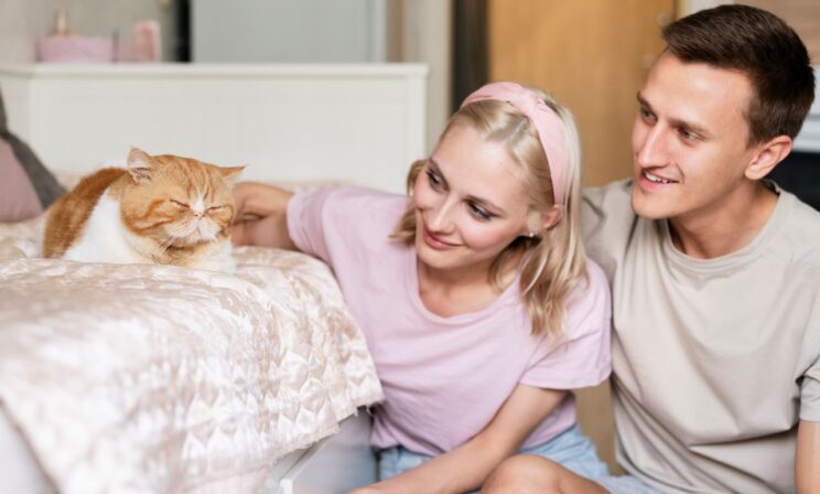 В Госдуме заявили, что не будут вводить налог на бездетность