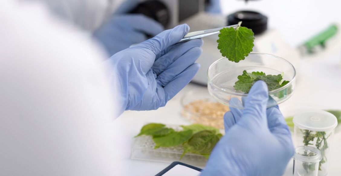 Российские ученые создали биодобавку из растений для борьбы с диабетом