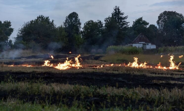 Школьники из Башкирии спасли от пожара свое село