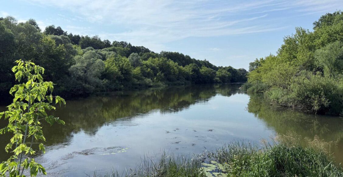 В Мордовии погибла мать 11 детей, спасая тонущую дочь