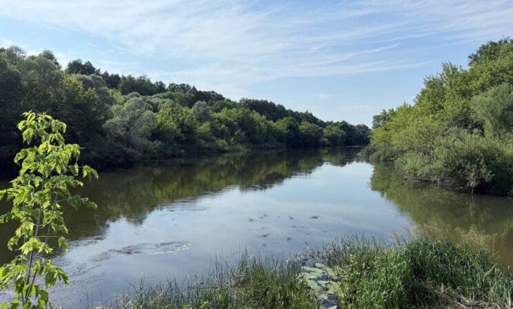 В Мордовии погибла мать 11 детей, спасая тонущую дочь