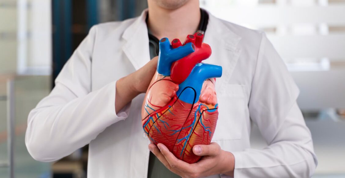 Российские ученые создали систему, определяющую пригодность сердца к трансплантации