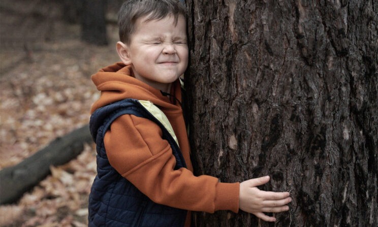 «Мам, нет никакого волшебного дерева». История об одном чуде