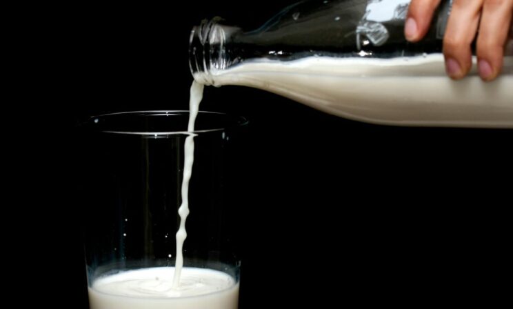 Норвежские ученые предупредили о смертельных рисках цельного молока