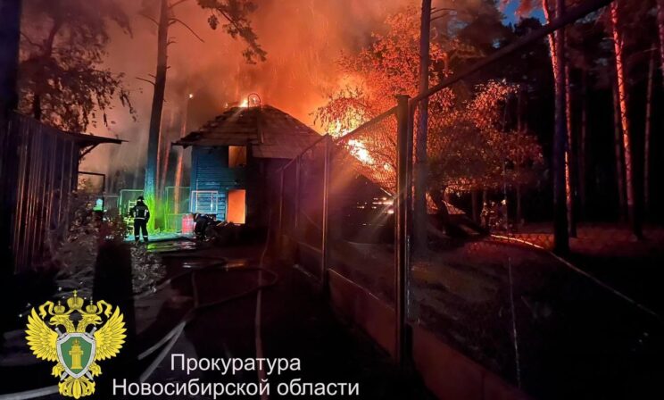 В Новосибирске произошел пожар в зоопарке