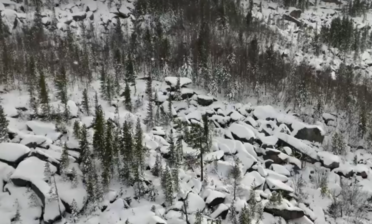 В красноярской тайге на месте поисков семьи Усольцевых нашли кости  и следы животных