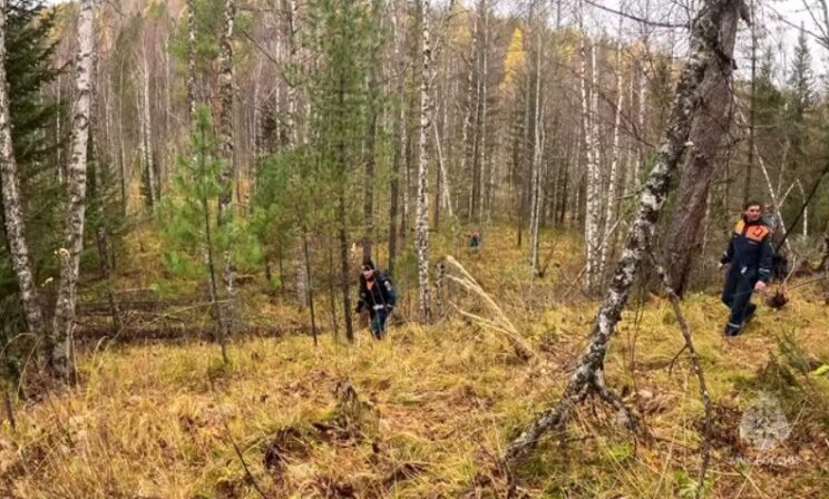 В тайге под Красноярском пропала семья: поиски продолжаются седьмой день