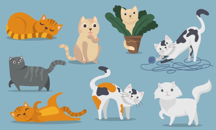 Исследование: владельцы кошек читают чаще, чем собачники