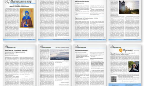 Православная стенгазета № 41 (825)