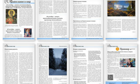 Православная стенгазета № 43 (827)