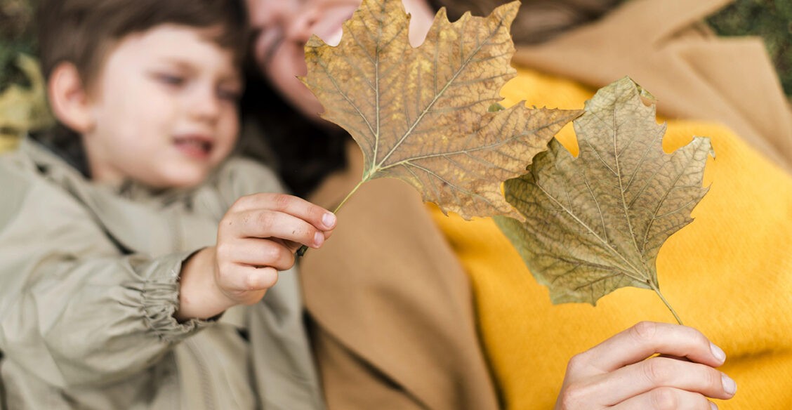 Повышение пенсий, цифровой рубль и защита от мошенников. Новые законы октября