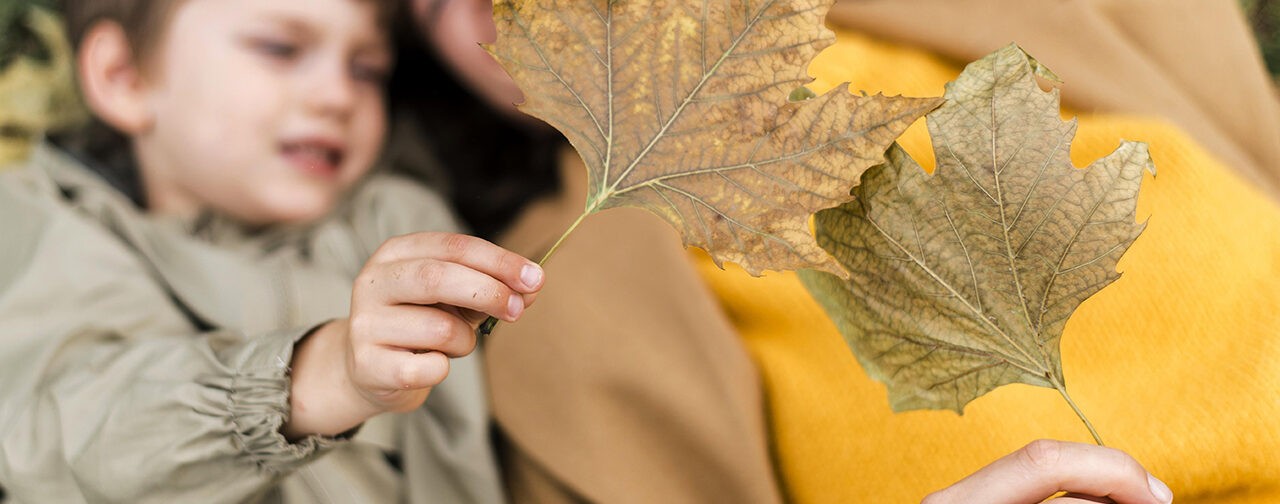 Повышение пенсий, цифровой рубль и защита от мошенников. Новые законы октября