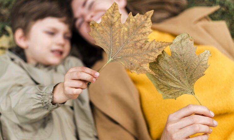 Повышение пенсий, цифровой рубль и защита от мошенников. Новые законы октября