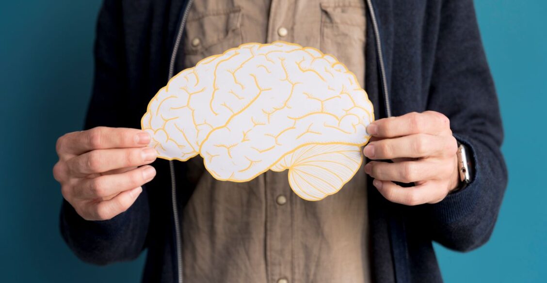 Ученые выявили пять фаз жизни мозга — подростковая длится до 32 лет