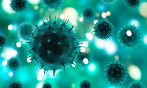 «Это только начало»: в России нашли более 60 новых вирусов