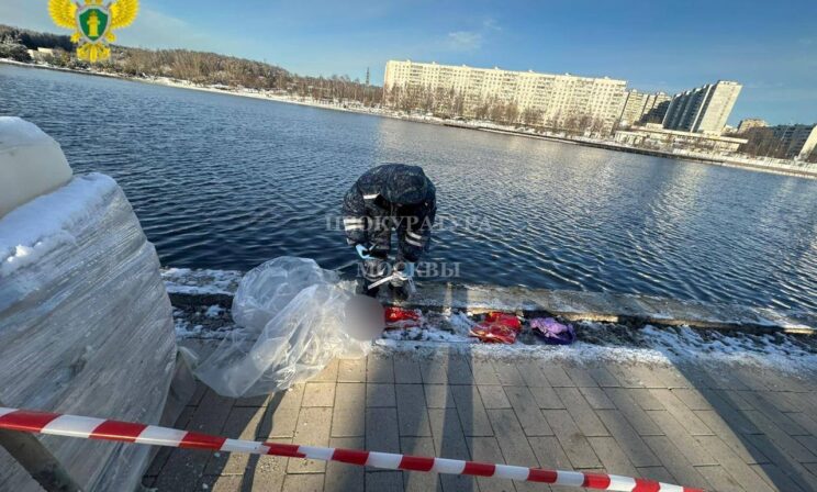 В жестоком убийстве ребенка в Москве призналась его мать