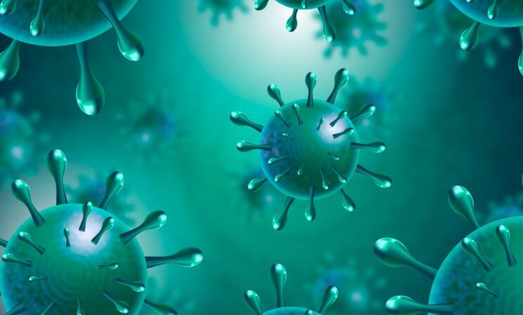 Роспотребнадзор опроверг слухи о «новом вирусе» в России