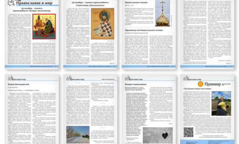 Православная стенгазета № 48 (832)