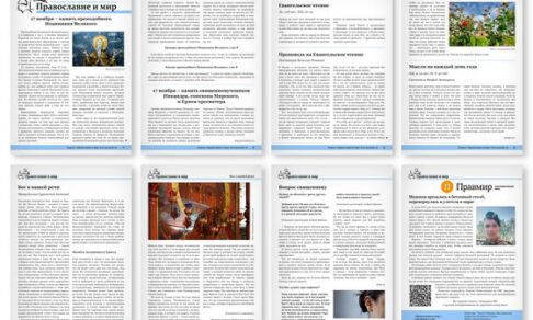 Православная стенгазета № 46 (830)
