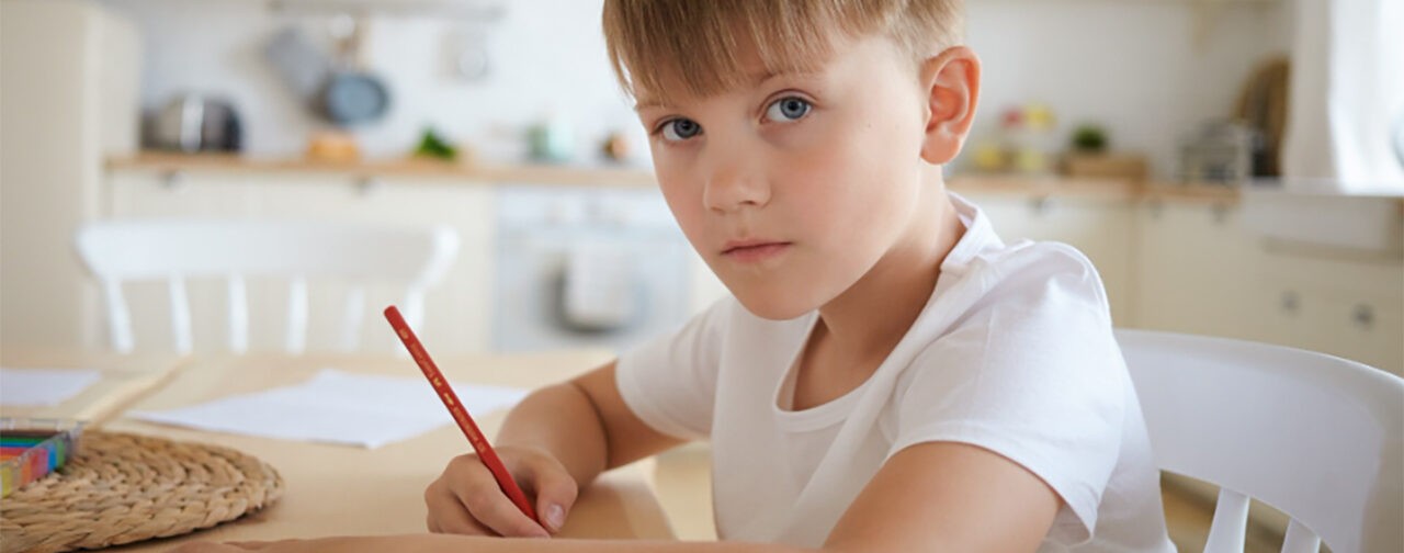 «Хочу сфотографировать контрольную моего ребенка и разобрать ошибки. Но учитель мне запрещает»