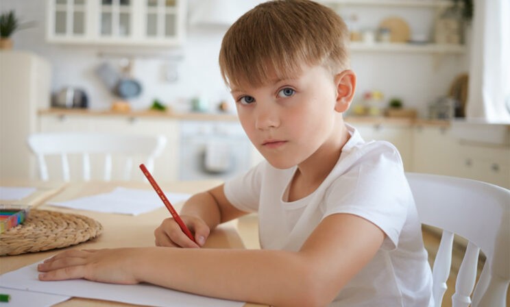 «Хочу сфотографировать контрольную моего ребенка и разобрать ошибки. Но учитель мне запрещает»