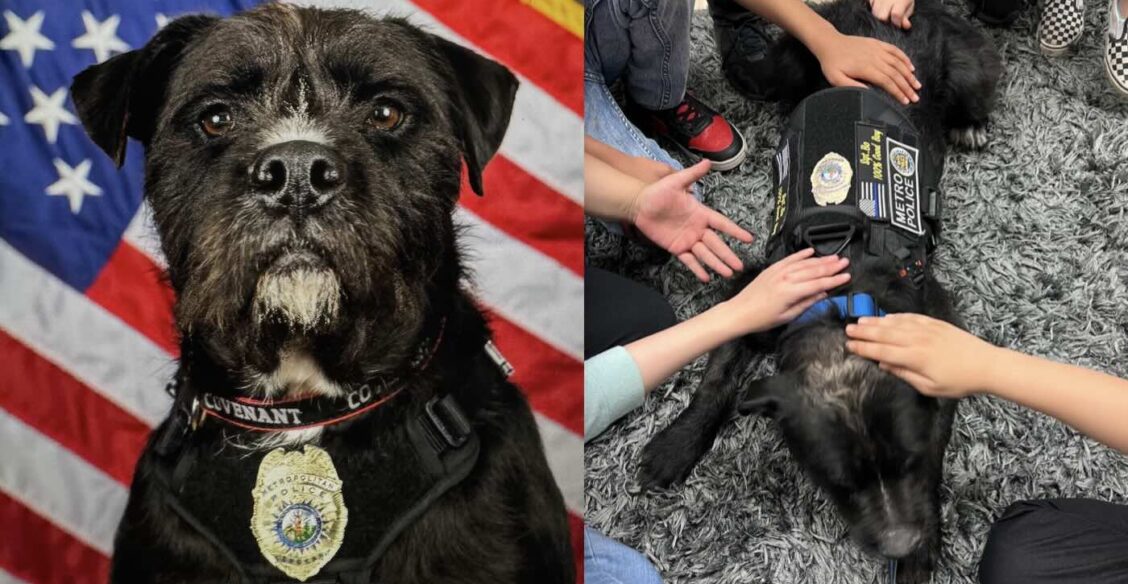 В США наградили пса, помогавшего детям пережить последствия школьной стрельбы